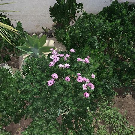 تراباني Valentina Lovely Rooms المظهر الخارجي الصورة